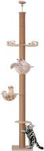 Load image into Gallery viewer, Arbre à Chat, Hauteur 250-275cm, Tour de Jeux pour Chat, Tour à Chat avec Poteaux Sisal, 5 Plateformes, Niche, Hamac, 5 Porteaux à Griffoir (du Sol au Toit)