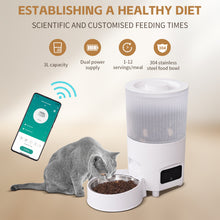 Load image into Gallery viewer, Distributeur Croquettes Chat Automatique - WiFi Distributeur Croquettes Chat - Distributeur de Croquettes pour Chat Connecter APP - Alimentation à Distance - 10 Repas par Jour - 3L