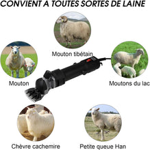 Load image into Gallery viewer, Tondeuse à Mouton Électrique,Tondeuse Electrique Professionnelle pour LaineTondeuse Mouton à Haute Puissance Économie de Travail, Tondeuse pour Laine Mouton Chèvre Machine de Cisaillement