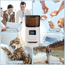 Load image into Gallery viewer, Distributeur Croquettes Chat Automatique, WiFi 6L Distributeur Automatique de Nourriture pour Chien, APP Contrôler Mangeoire Automatique, 10 Secondes D'enregistrement, Nourrir Régulièrement