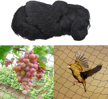 Load image into Gallery viewer, Aviary Net Pond Net Against Birds Robust Protection Fruit Plant (10m x 4m)