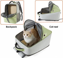 Load image into Gallery viewer, Bag Transport Cat Puppies Stretch Backpack Small Dog Pet Backpack Breathable Foldable Cat Bag Dog for Travel and Hiking