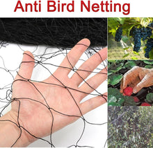 Load image into Gallery viewer, Aviary Net Pond Net Against Birds Robust Protection Fruit Plant (10m x 4m)