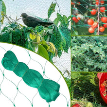 Load image into Gallery viewer, Filet Anti Oiseaux, Filet Arbre Fruitier Vert, Filets pour Jardin / Plante / Arbres Fruitiers / Étang, Maille de 15 mm, Protégez Les Légumes Contre Les Oiseaux