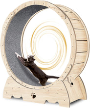 Load image into Gallery viewer, Roue d'exercice pour Chat 93cm Grande Roue de Tapis Roulant pour Chat Intérieur Roue de Course Tapis Détachable et Taquin pour Chat pour Course Marche Entraînement Convient Plupart des Chats

