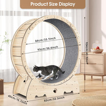 Load image into Gallery viewer, Roue d'exercice pour Chat 93cm Grande Roue de Tapis Roulant pour Chat Intérieur Roue de Course Tapis Détachable et Taquin pour Chat pour Course Marche Entraînement Convient Plupart des Chats
