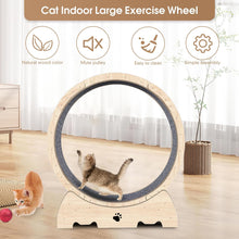 Load image into Gallery viewer, Roue d'exercice pour Chat 93cm Grande Roue de Tapis Roulant pour Chat Intérieur Roue de Course Tapis Détachable et Taquin pour Chat pour Course Marche Entraînement Convient Plupart des Chats
