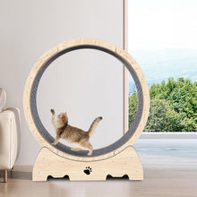 Load image into Gallery viewer, Roue d'exercice pour Chat 93cm Grande Roue de Tapis Roulant pour Chat Intérieur Roue de Course Tapis Détachable et Taquin pour Chat pour Course Marche Entraînement Convient Plupart des Chats
