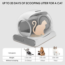 Load image into Gallery viewer, Lettiera Gatto Autopulente, Lettiera Automatica per Gatti, con rilevatore a infrarossi e sensori di peso, Antiodore,Capacità Massima 65L,Controllo APP per Più Gatti con tappetino
