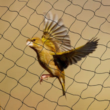 Load image into Gallery viewer, Aviary Net Pond Net Against Birds Robust Protection Fruit Plant (10m x 4m)
