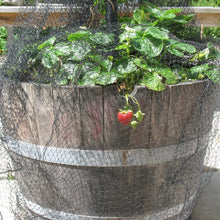 Load image into Gallery viewer, Aviary Net Pond Net Against Birds Robust Protection Fruit Plant (10m x 4m)
